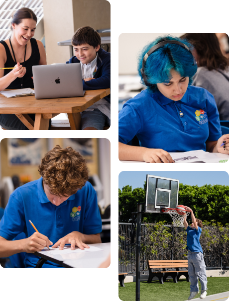 Elementary collage (5)