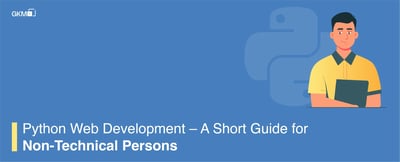 Python Web Development – A Short Guide for Non-Technical Persons