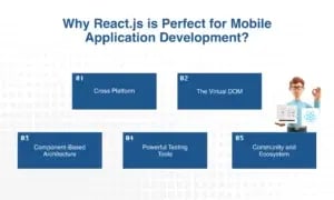 Why React.js is Perfect for Mobile Application Development