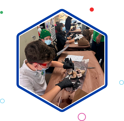 Hexagon image with elements