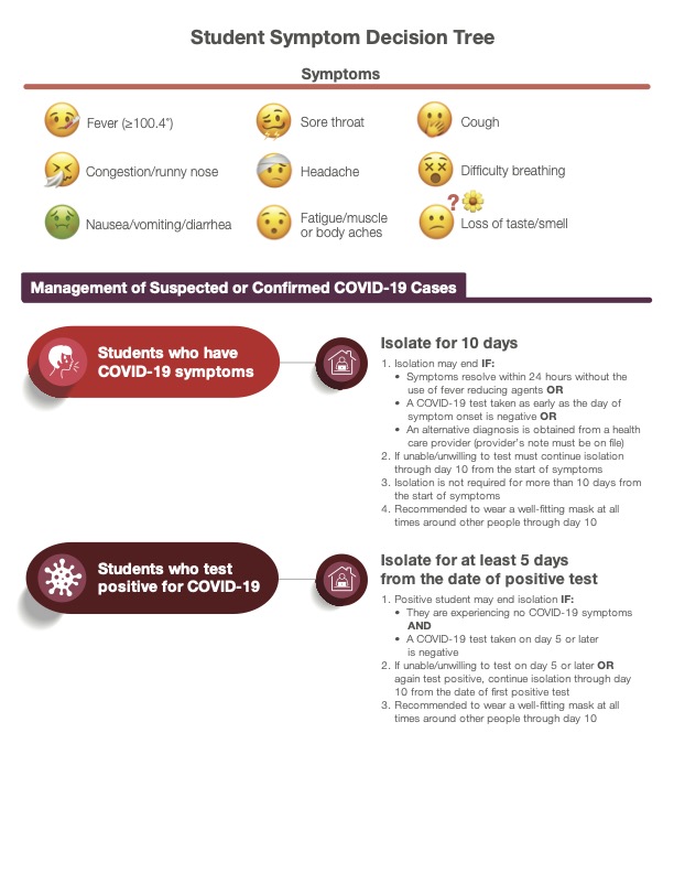 Student Decision Tree 4-7-22_v9 Student Decision Tree 4-7-22_v9